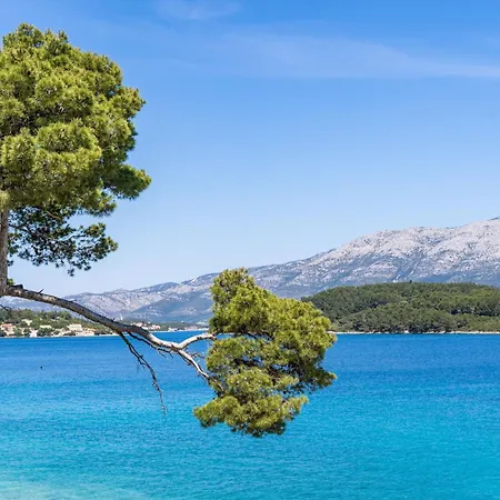 Nikolina 아파트 *